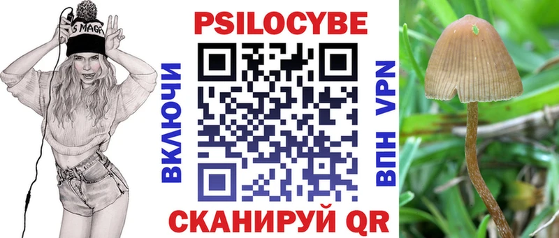 Псилоцибиновые грибы MAGIC MUSHROOMS  что такое наркотик  Зеленодольск 