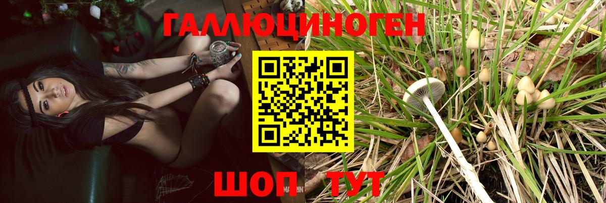 Галлюциногенные грибы Magic Shrooms Зеленодольск