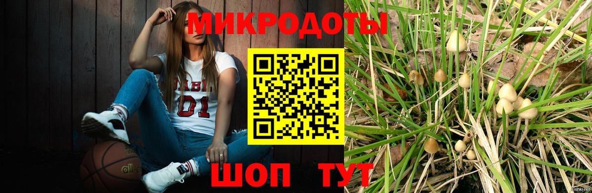 Зеленодольск  Галлюциногенные грибы Psilocybine cubensis  Вход с VPN 