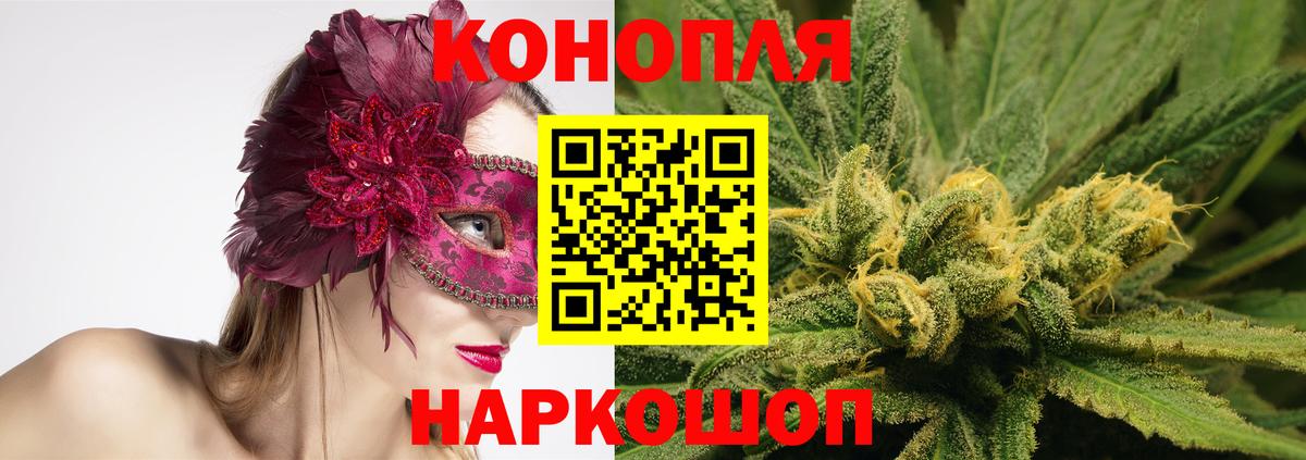 Зеленодольск  Бошки Шишки план  Бошки Шишки сатива  Конопля планчик  Вход с VPN 